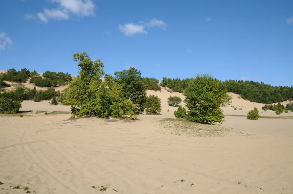 Quebec, las pintorescas dunas de Tadoussac —  Fotos de Stock
