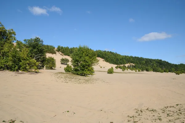 Quebec, las pintorescas dunas de Tadoussac —  Fotos de Stock