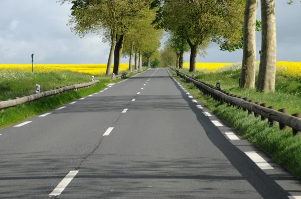 Ile de France, Maudetour, a country road in Val d Oise — Stock Photo, Image