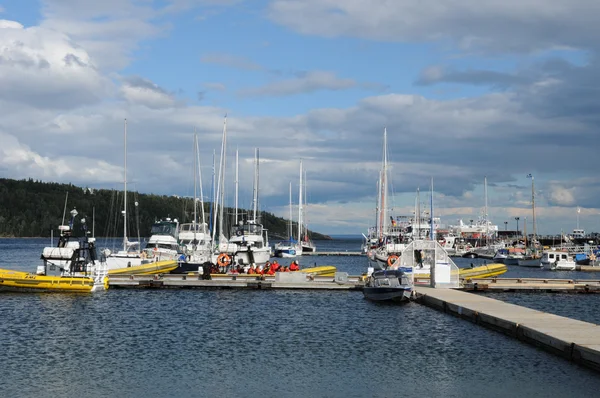 Quebec, boten in de haven van tadoussac — Stockfoto