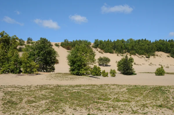 Quebec, the picturesque dunes of Tadoussac — Stock Photo, Image