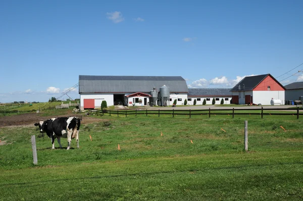 Quebec, una granja en Lac a la Croix —  Fotos de Stock