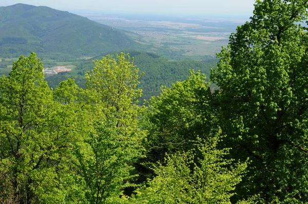 Vista de Alsacia desde el castillo de Haut Koenigsbourg — Foto de Stock