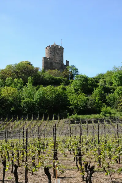 El castillo de Kaysersberg en Alsacia — Foto de Stock