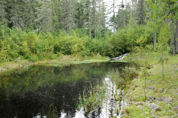 Quebec, park of le Moulin des Pionniers in La Dore — Stock Photo, Image