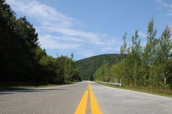 Quebec, road in the Parc National du Forillon in Gaspesie — Stock Photo, Image