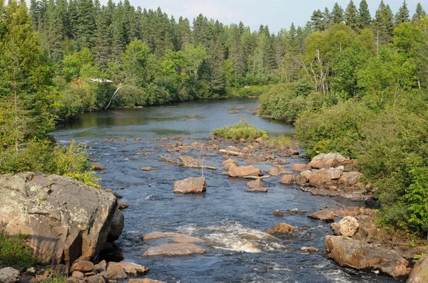 Québec, parc du Moulin des Pionniers à La Dore — Photo