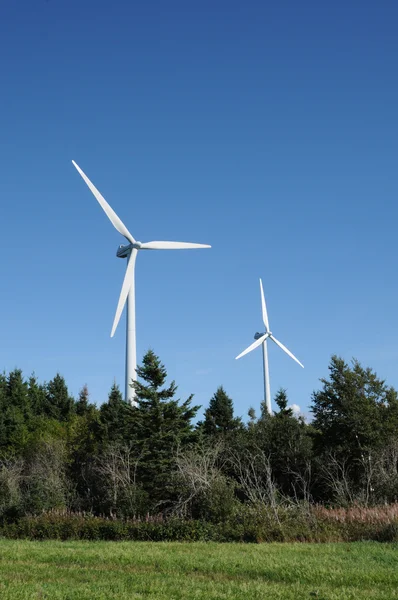 Quebec, generator de vânt în Cap Chat în Gaspesie — Fotografie, imagine de stoc