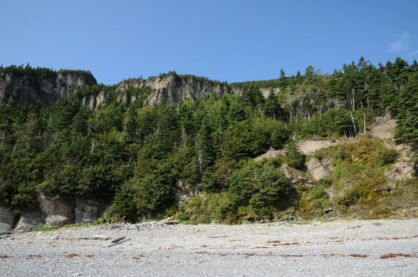 Quebec, der parc national du forillon in gaspesie — Stockfoto