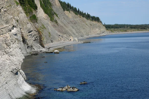 Quebec, het parc national du forillon in gaspesie — Stockfoto