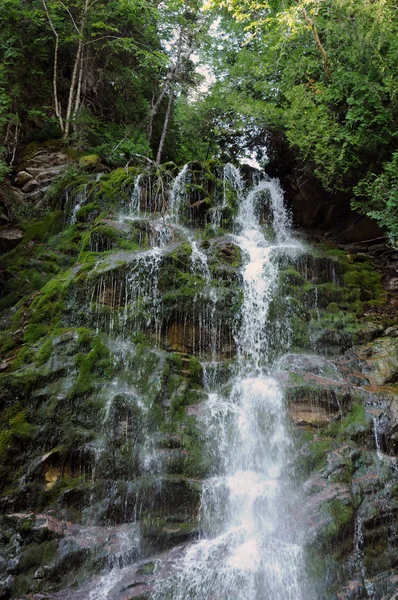 Valt in het parc national du forillon — Stockfoto