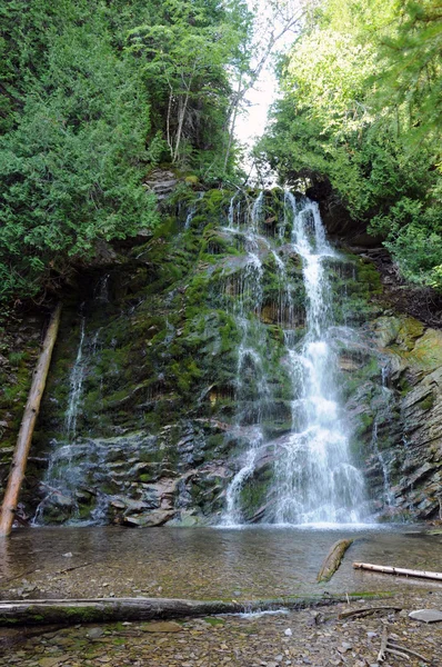 Valt in het parc national du forillon — Stockfoto