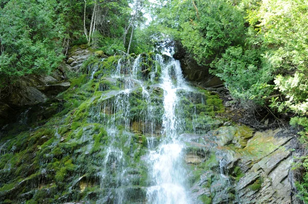 Valt in het parc national du forillon — Stockfoto