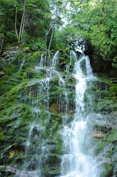 Valt in het parc national du forillon — Stockfoto