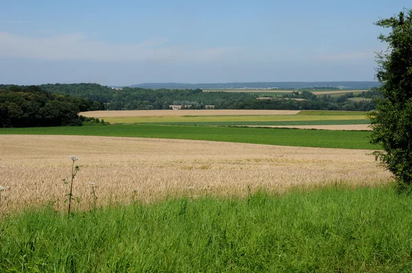 France, Fremainville, field in Val d Oise — Stock Photo, Image