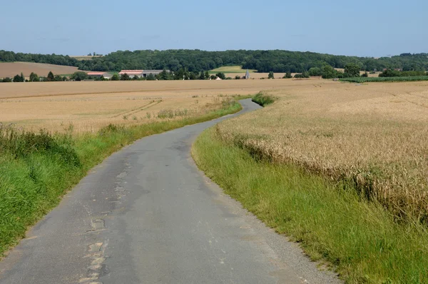 France, Fremainville, a country road in Val d Oise — Stock Photo, Image