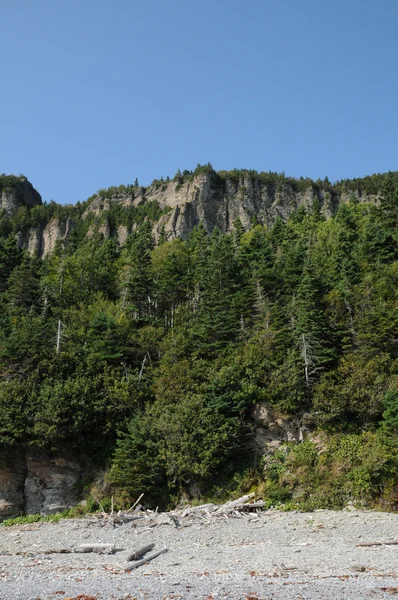 Quebec, the Parc National du Forillon in Gaspesie — Stock Photo, Image