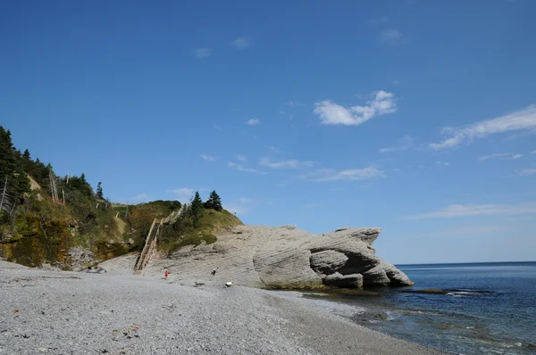 Quebec, parc national du forillon i gaspesie — Stockfoto