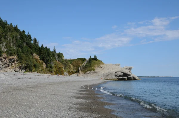 Quebec, het parc national du forillon in gaspesie — Stockfoto