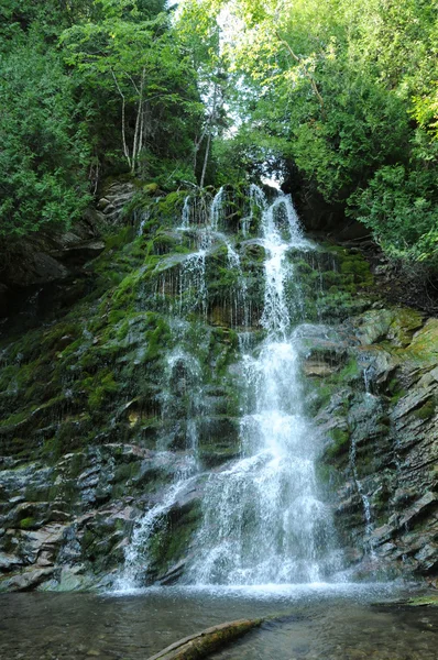 Valt in het parc national du forillon — Stockfoto