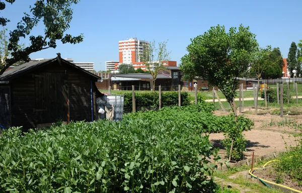 France, allotment garden in Les Mureaux — Stock Photo, Image