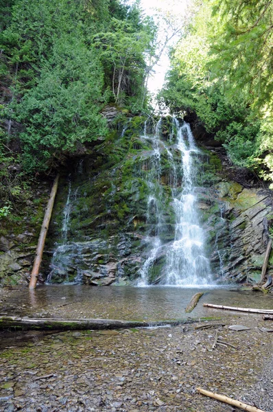 Valt in het parc national du forillon — Stockfoto