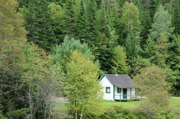 Québec, maison ancienne dans la forêt Matapédia en Gaspésie — Photo