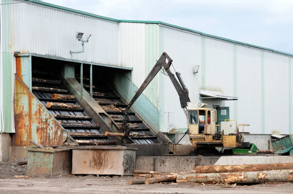 Quebec; log in a sawmill in Saint Adalbert — Stock Photo, Image