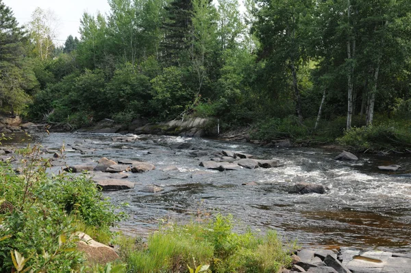 Quebec, fiume nello zoo di Saint Felicien — Foto Stock