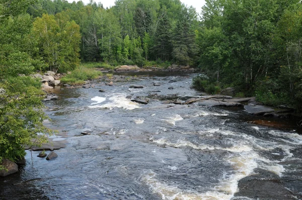 Quebec, río en el Zoológico de Saint Felicien — Foto de Stock