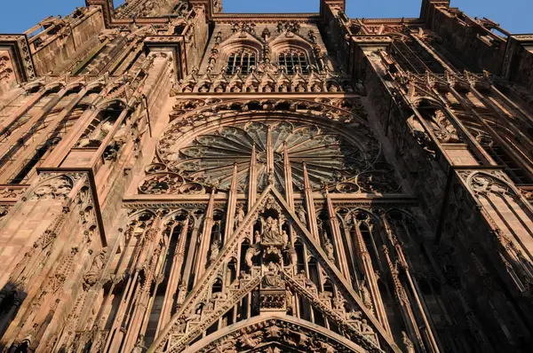 Cathedral of Strasbourg in Alsace — Stock Photo, Image