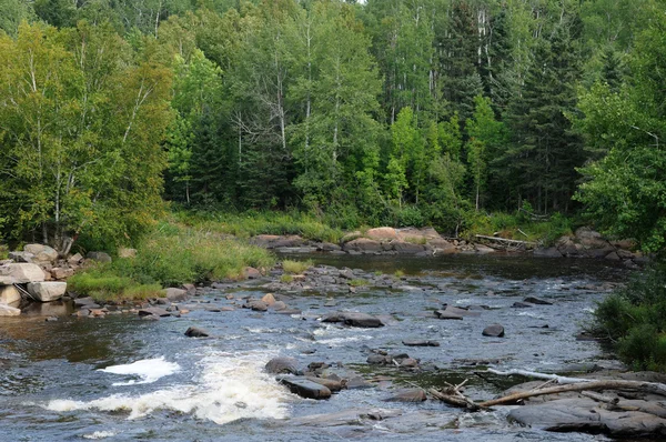 Quebec, fluss im zoo des heiligen felicien — Stockfoto