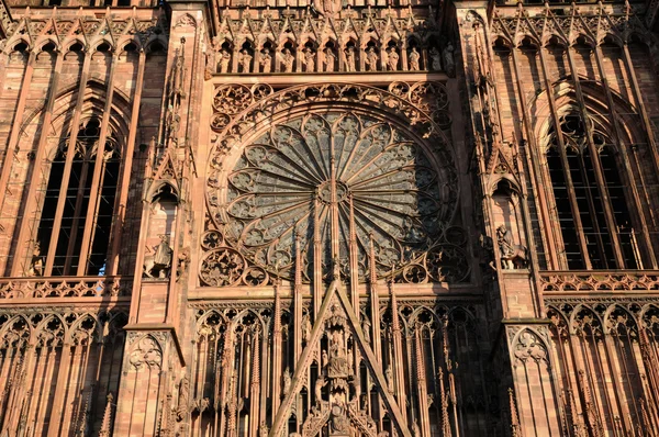 Собору Страсбурга у провінції Alsace — стокове фото