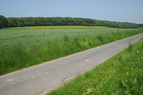 Country road in Radepont — Stock Photo, Image