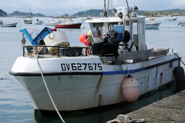 L Ile Grande Brittany peyzaj — Stok fotoğraf