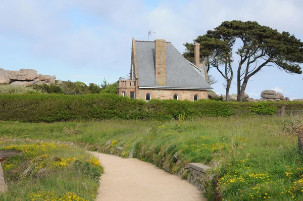 Bretagne, campo en Ploumanac h —  Fotos de Stock