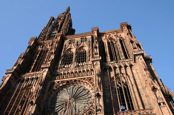 A catedral de strasbourg na alsácia — Fotografia de Stock