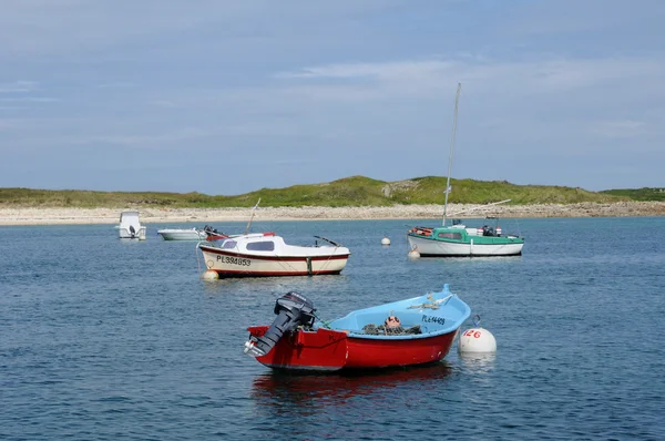 Paysage de l Ile Grande en Bretagne — Photo