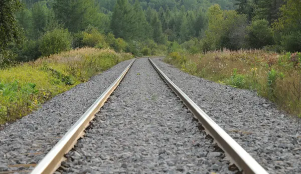Quebec, railwail in Larouche — Stock Photo, Image