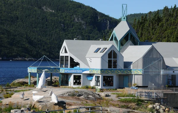 Quebec, a festői falu Tadoussac — Stock Fotó