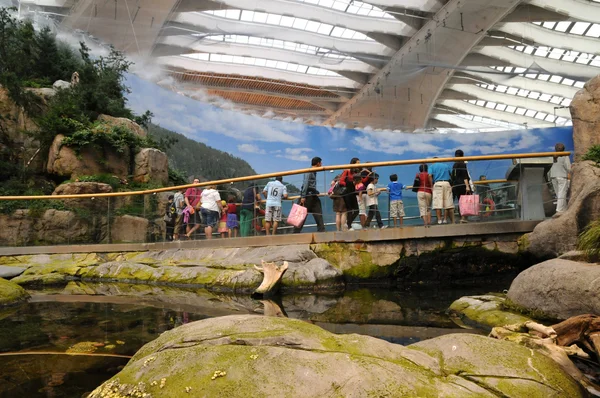 Quebec, biodome av montreal — Stockfoto