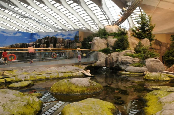 Quebec, the biodome of Montreal — Stock Photo, Image