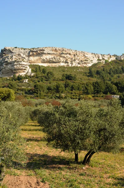 Typowy krajobraz les baux de Provence w Prowansji — Zdjęcie stockowe
