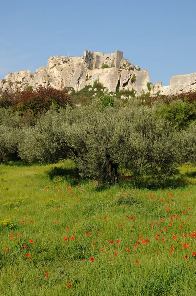 Typical landscapes of Les-Baux-de-Provence — Stock Photo, Image