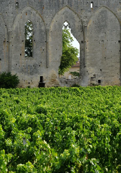 Gironde, vineyard of Saint Emilion in Aquitaine — Stock Photo, Image