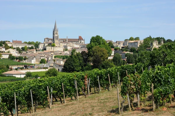 Gironde, Weinberg des heiligen Milieus in Aquitanien — Stockfoto