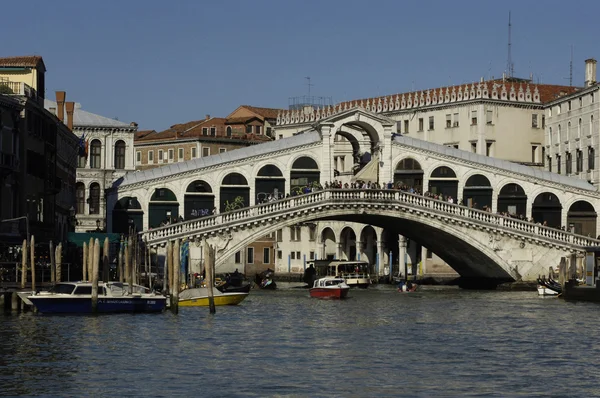 stock image Rialto bridge in Venice