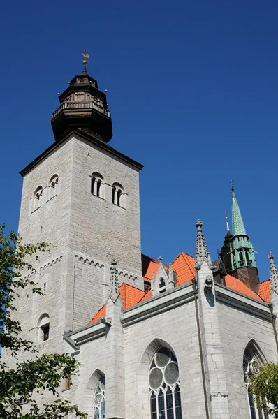 Staré a malebné katedrály visby — Stock fotografie
