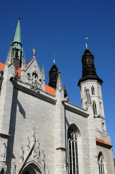 Stare i malownicze katedrze visby — Zdjęcie stockowe