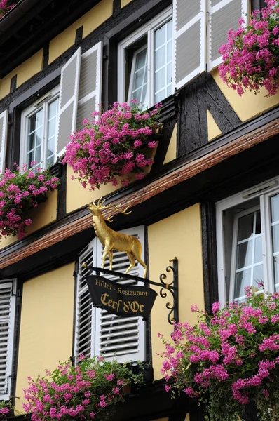 Alsacia, casco antiguo e histórico de Estrasburgo —  Fotos de Stock